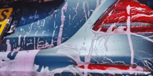 Indigo Car Care Club Service (6)